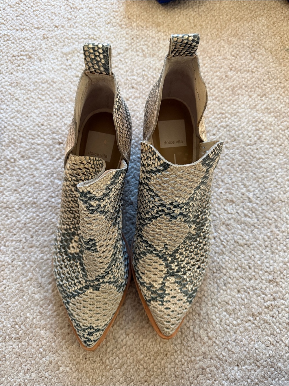 Dolce Vita Snake-Print Pointed Ankle Boots in Cream and Black